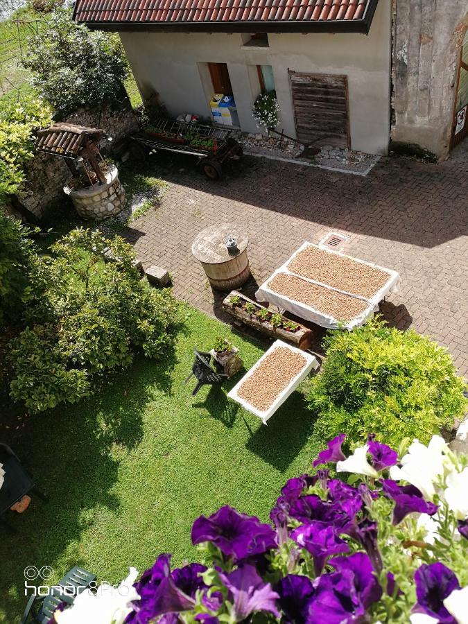 Agriturismo Antica Pieve Limana Exteriér fotografie